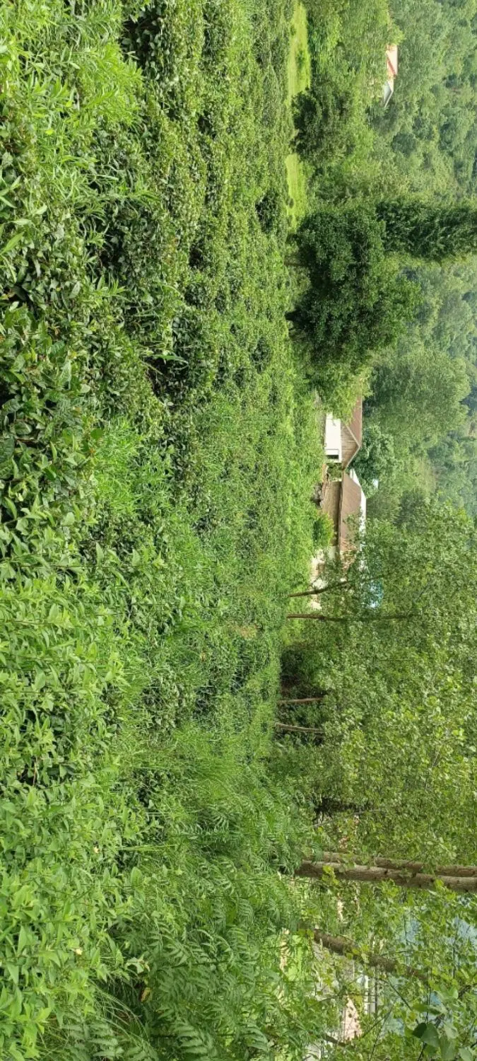 فروش زمین
