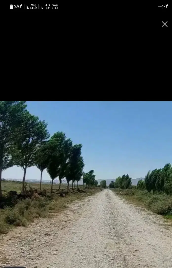باغچه پیشک ۳ بینه ژیانپور دست اول