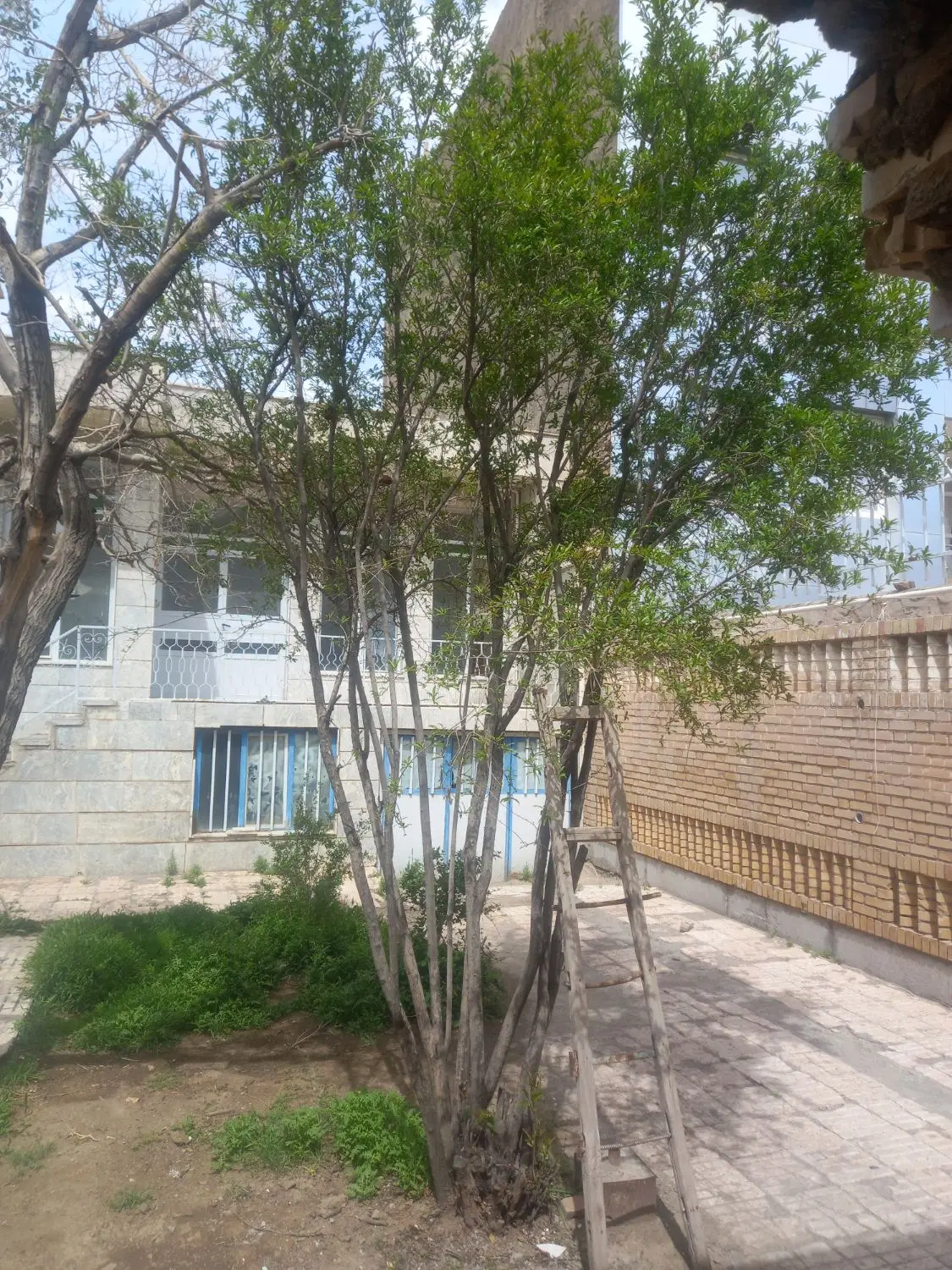 واحد اجاره ایی توحید (استقلال )