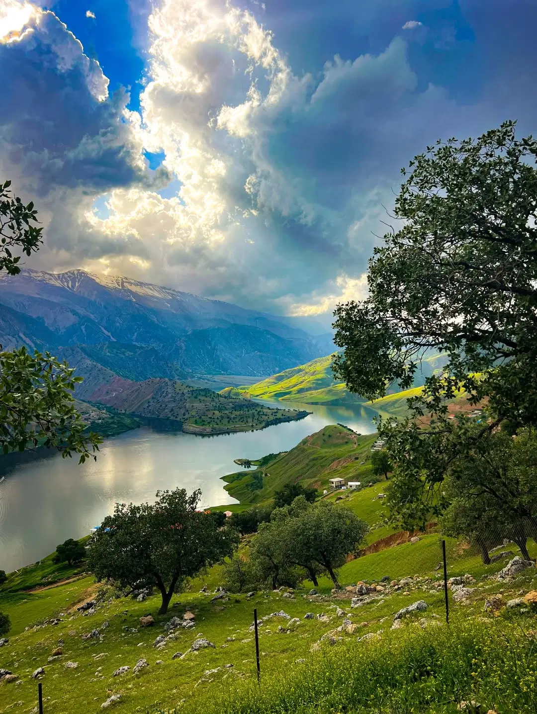فروش مجموعه کامل باغ و سوله