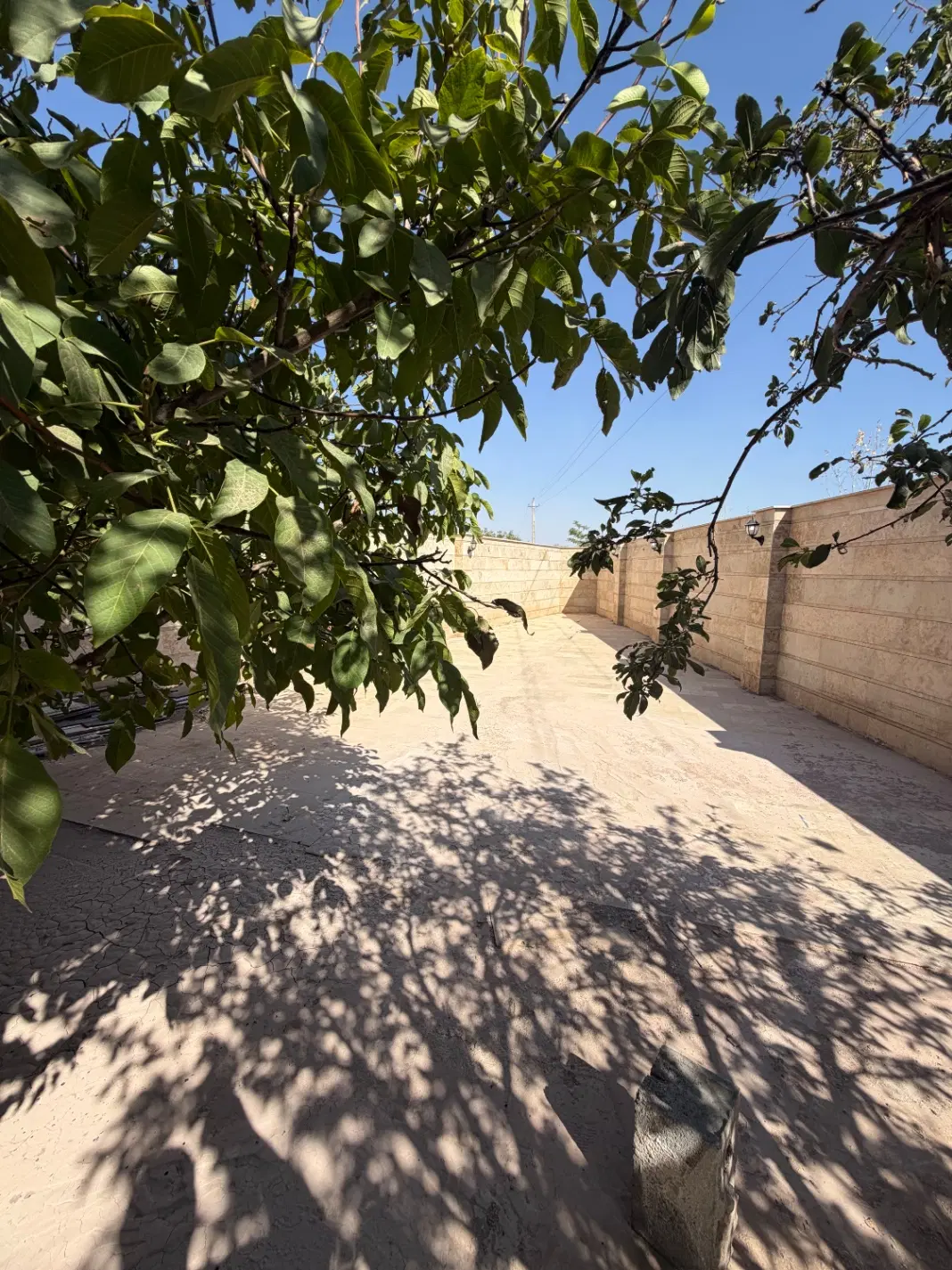 اجاره کافه یا رستوران