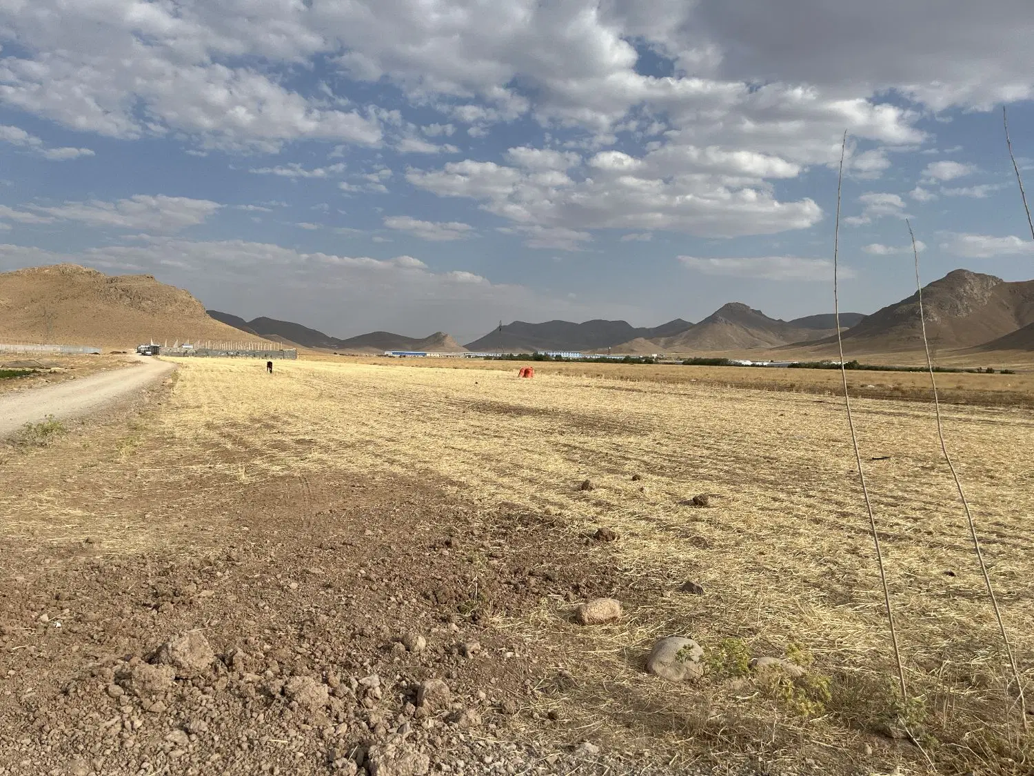 زمین باموقعیت مکانی عالی