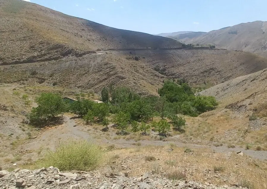 ۲.۵هکتار باغ ۶دانگ با چشمه اختصاصی