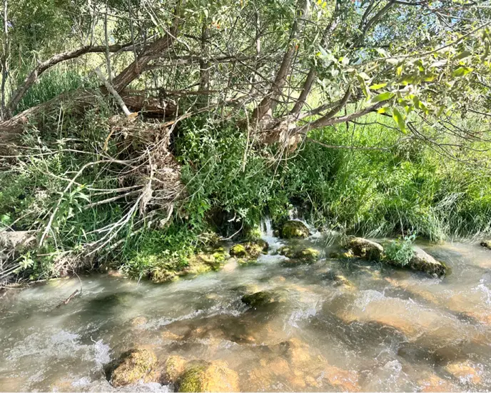 زمین مسکونی ۲۰۰ متری