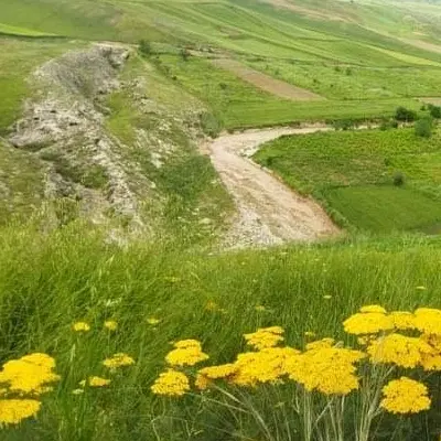 زمین ۶۰ متری