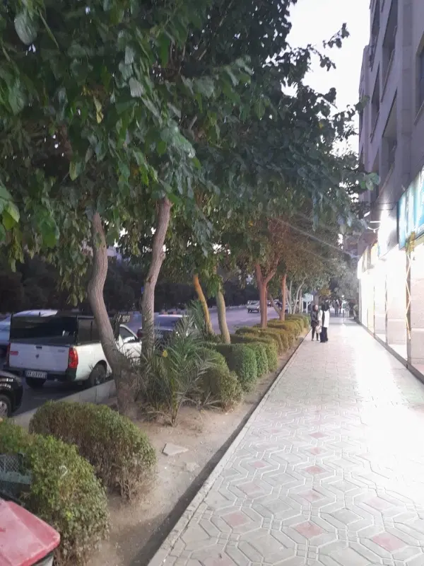 مغازه بر غدیر