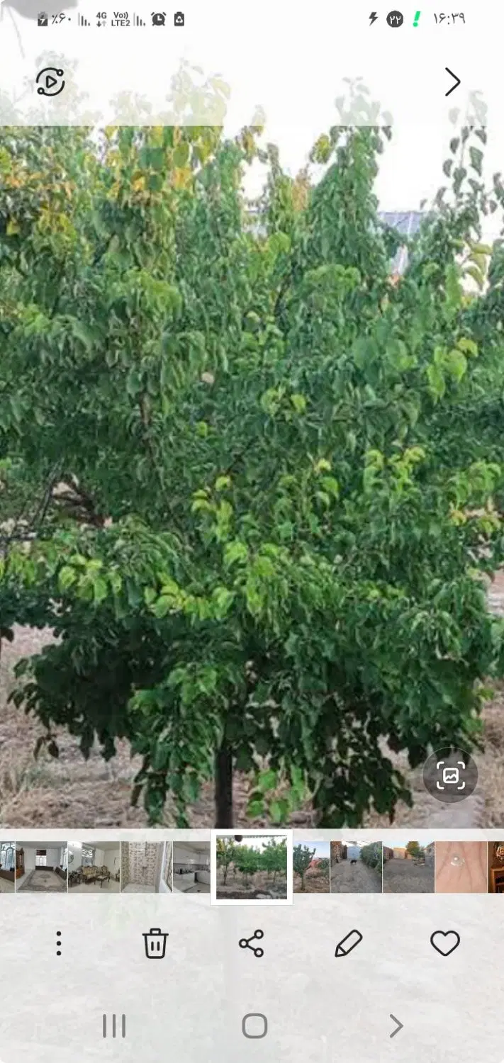 باغ ویلا دو کله با زیر زمین یا زمین