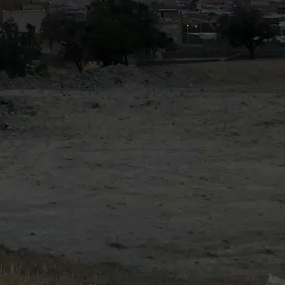 زمین باغی