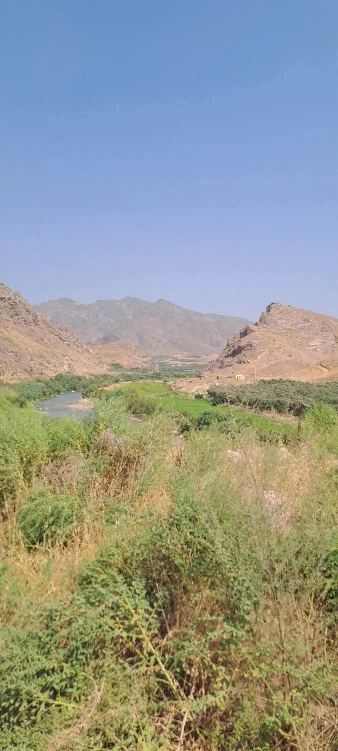 فیش زمین اطبا