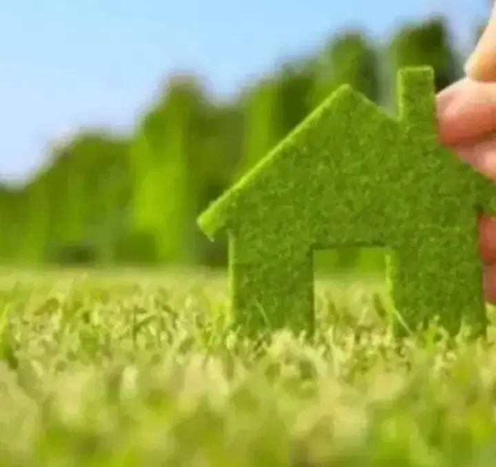 زمین مسکونی پیرواش سفلی