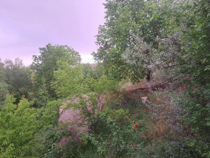 زمین عظیمیه