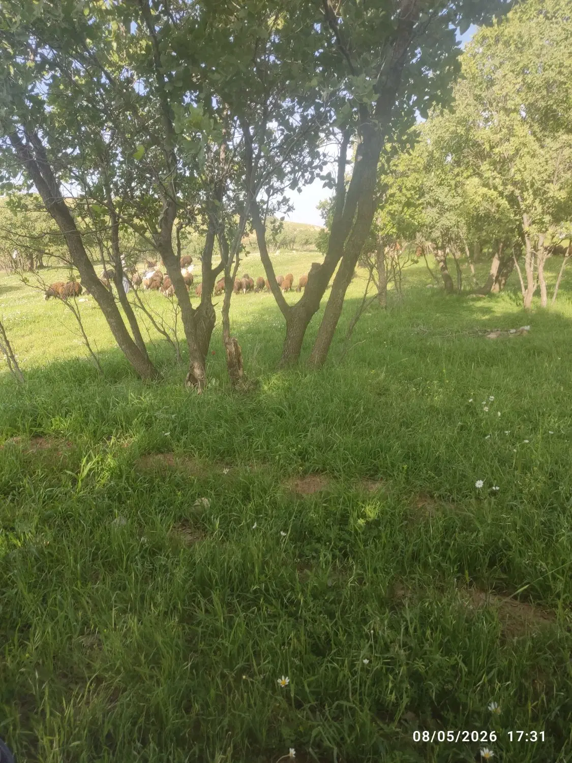 زمین جای قبر