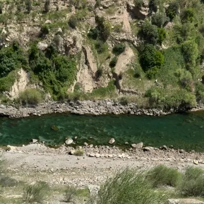 زمین دیم ۳۱۵۷۰