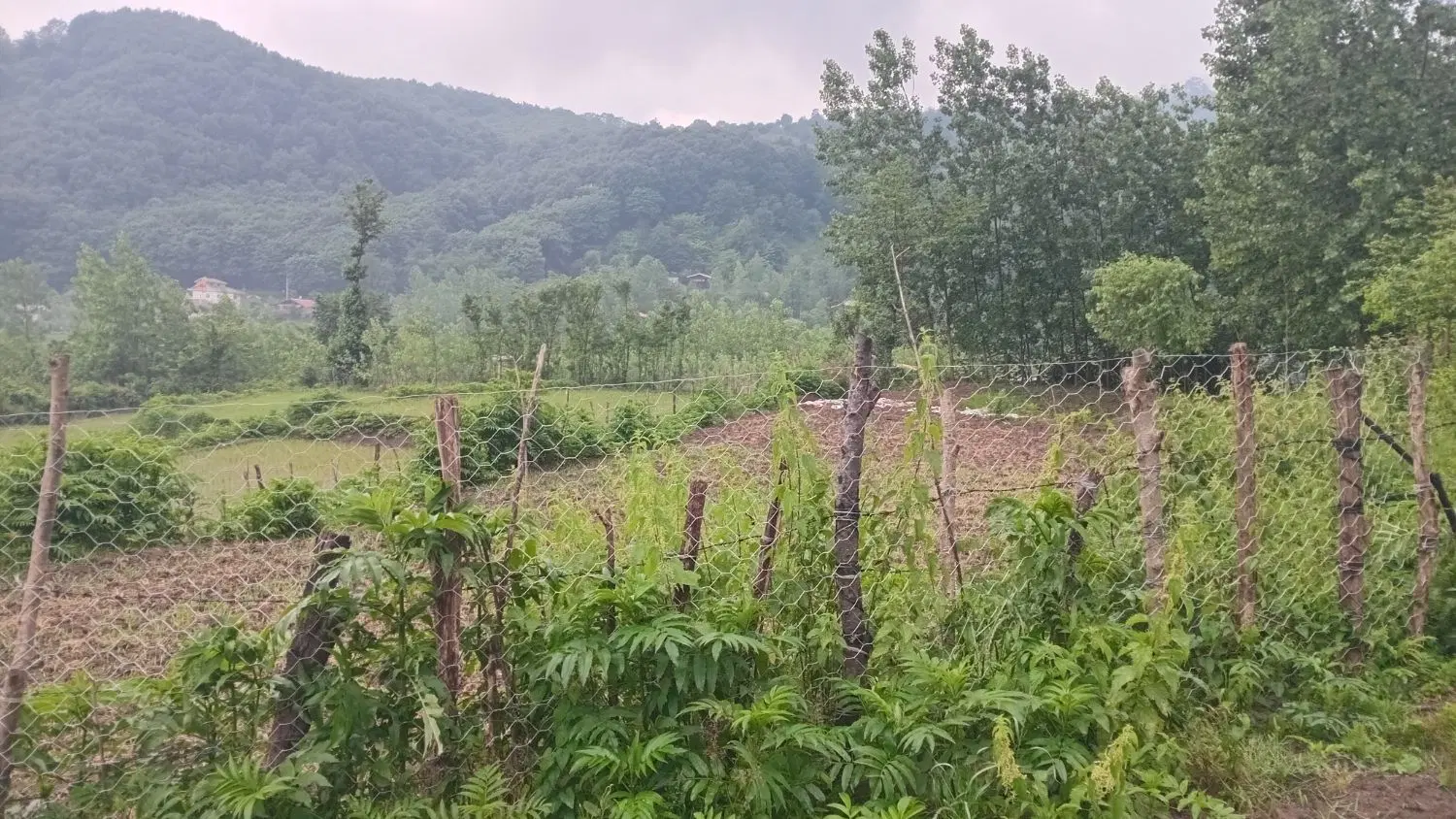 زمین مسکونی در ماسال با بنای 20 ساله