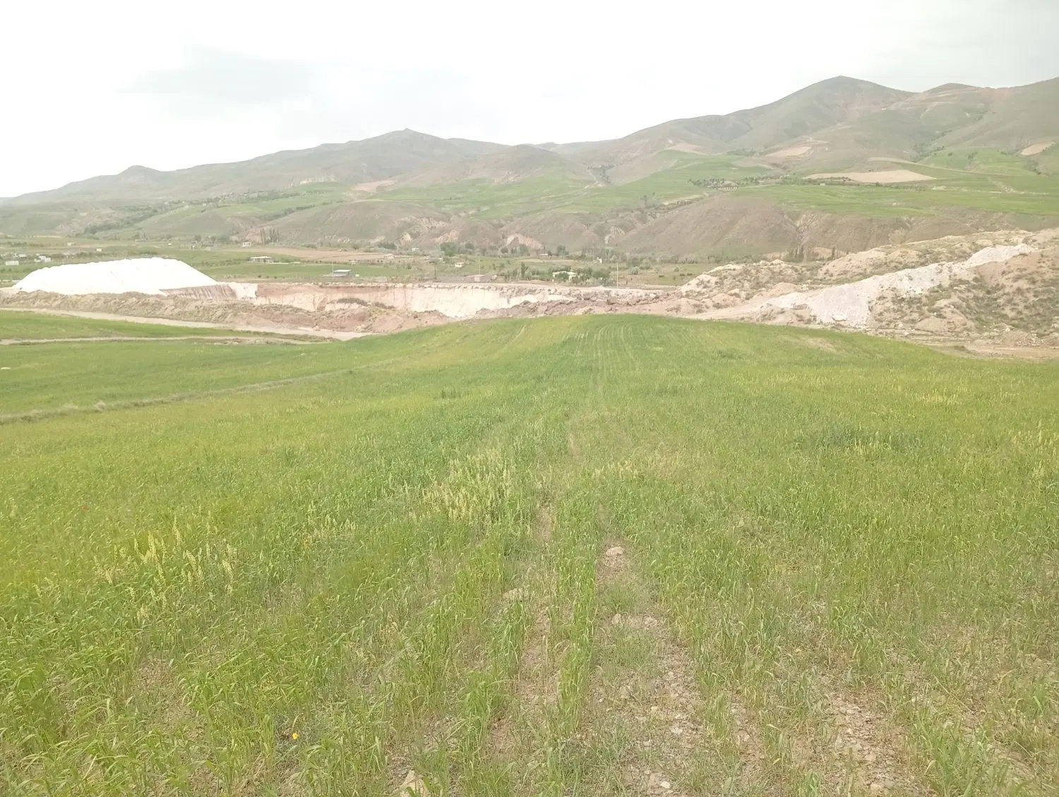 زمین باغ و کشاورزی