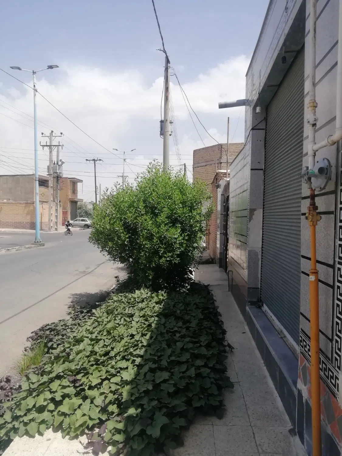مغازه 24 متری در خیابان اصلی کوی شهدا