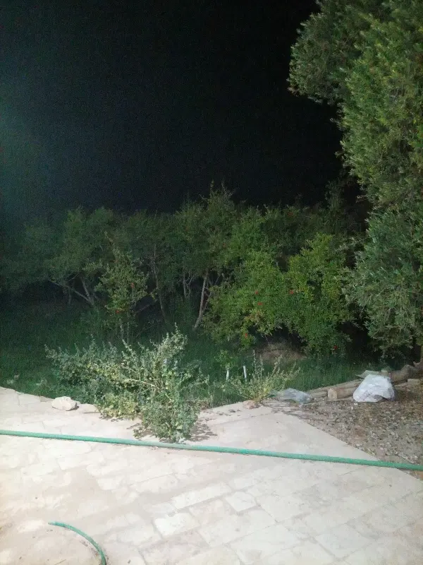خونه باغ مجردی