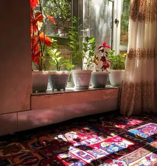 آپارتمان