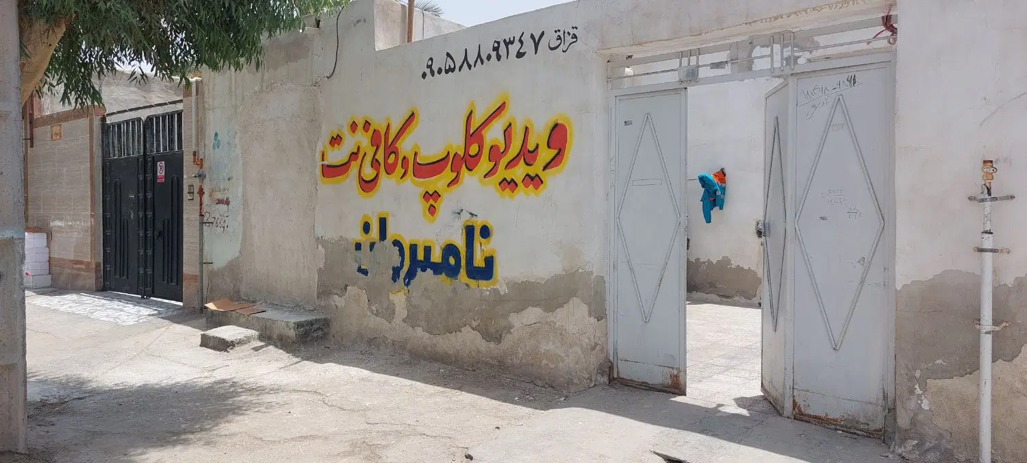 ملک ویلایی پهلوانی