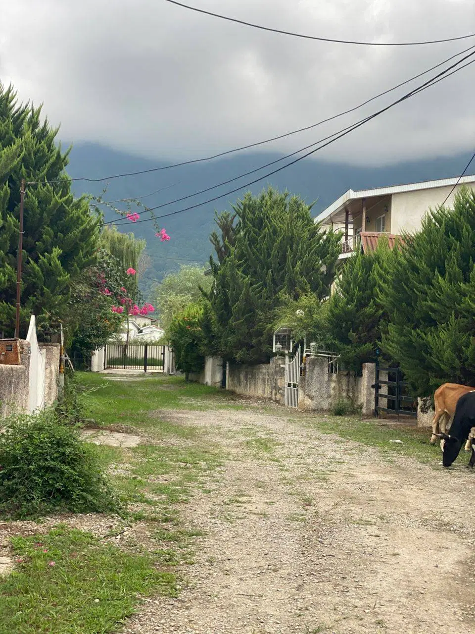 فروش زمین در مازندران ۵ کیلومتری نوشهر