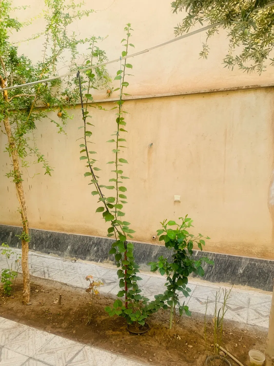 زمین چهاردیواری امکانات فول احمدآباد