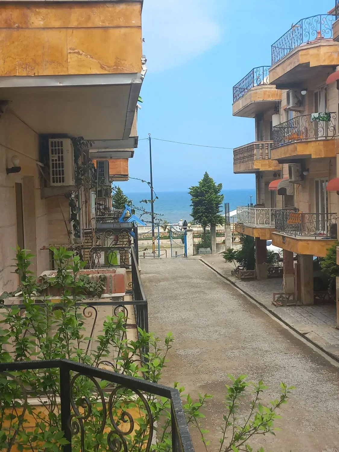 فروش فیش ۵۶۰ هکتاری خودم مالک هستم