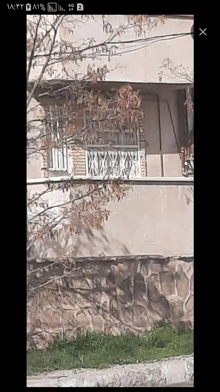 همخونه