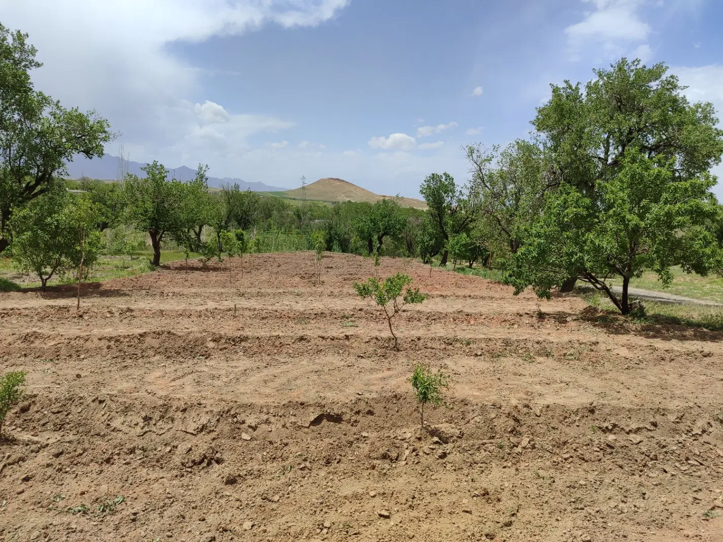 زمین روستای تفریجان