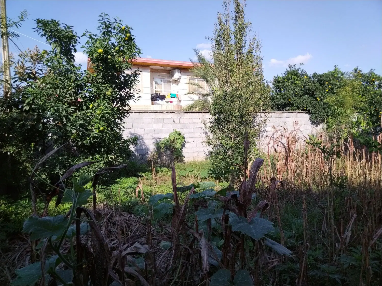 زمین فروشی