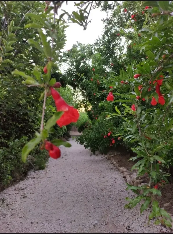 خانه باغ چهارصد متری تنگ چنار