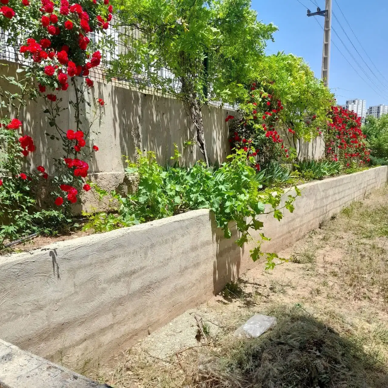 زمین فروشی یا معاوضه