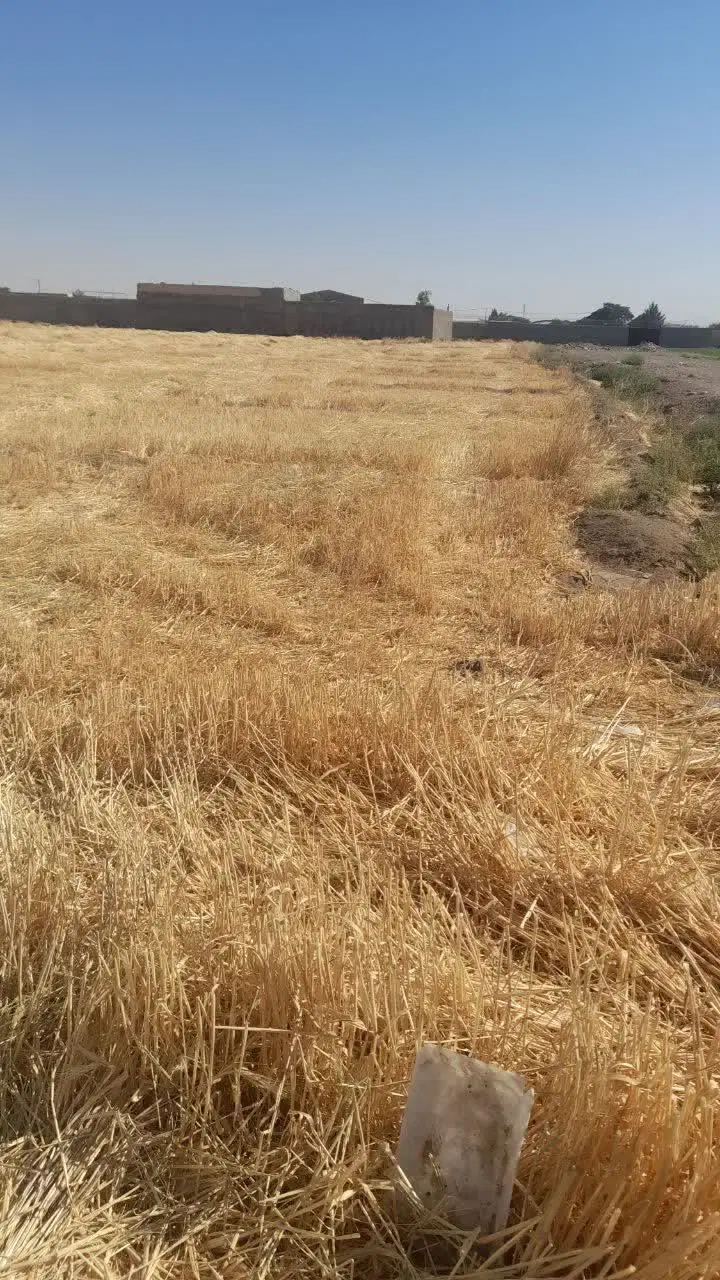 زمین سوله ودامداری