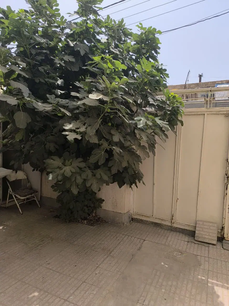 منزل دربست
