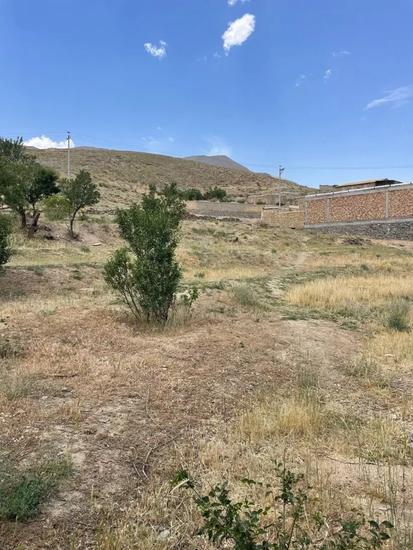 زمین طرح هادی و باغ انگور