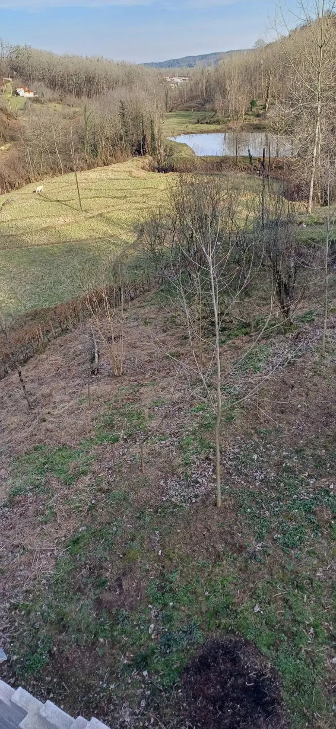 فروش زمین درراستای کچا