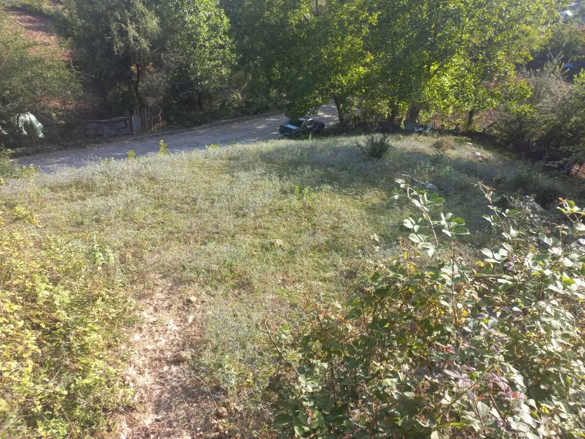 زمین