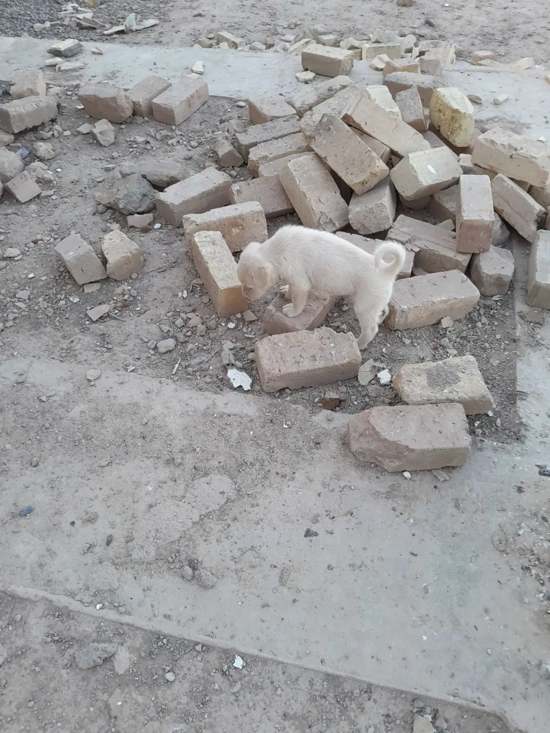 ی قطعه زمین حاجی آباد آقا