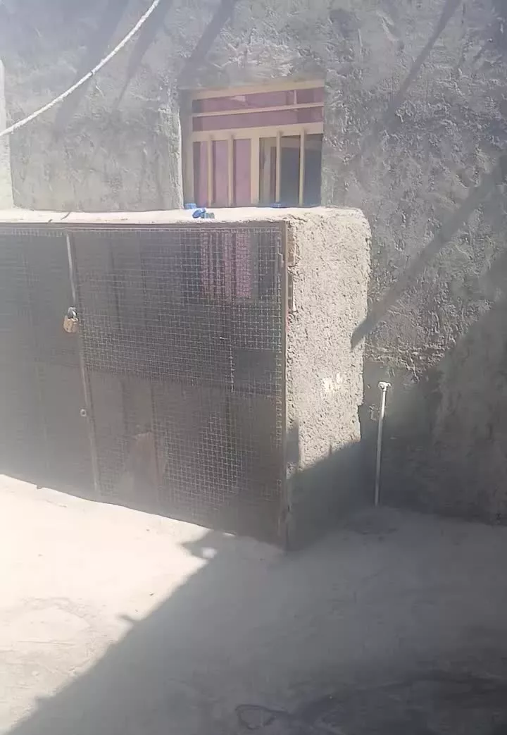 منزل فروشی