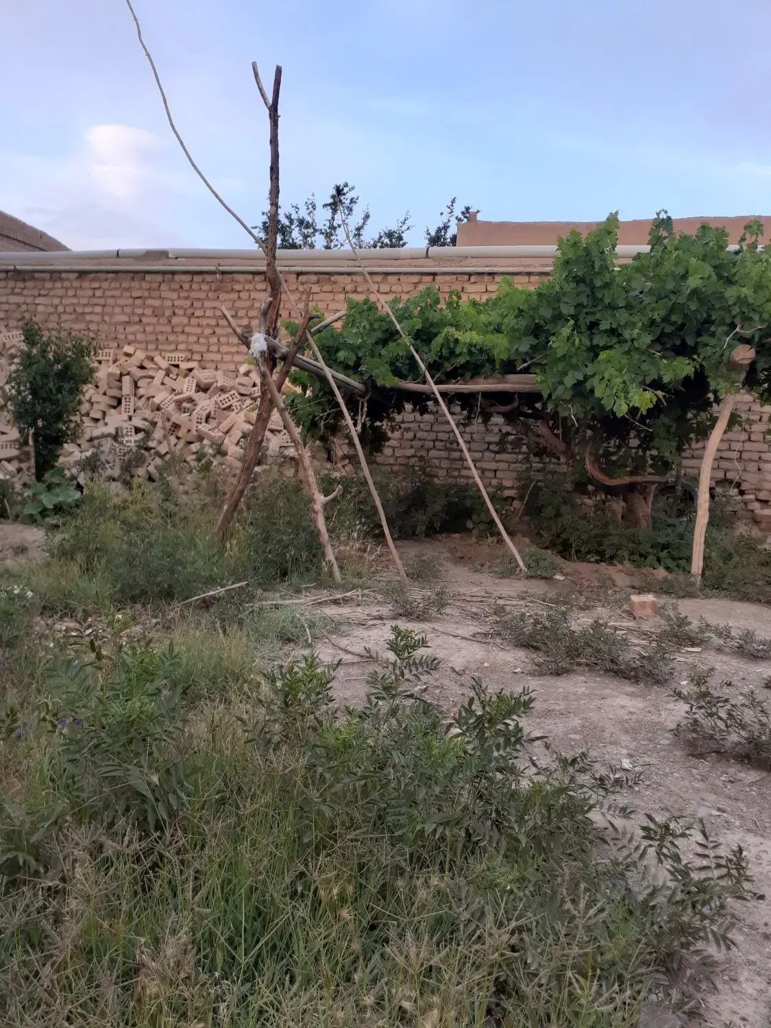 خانه فروشی