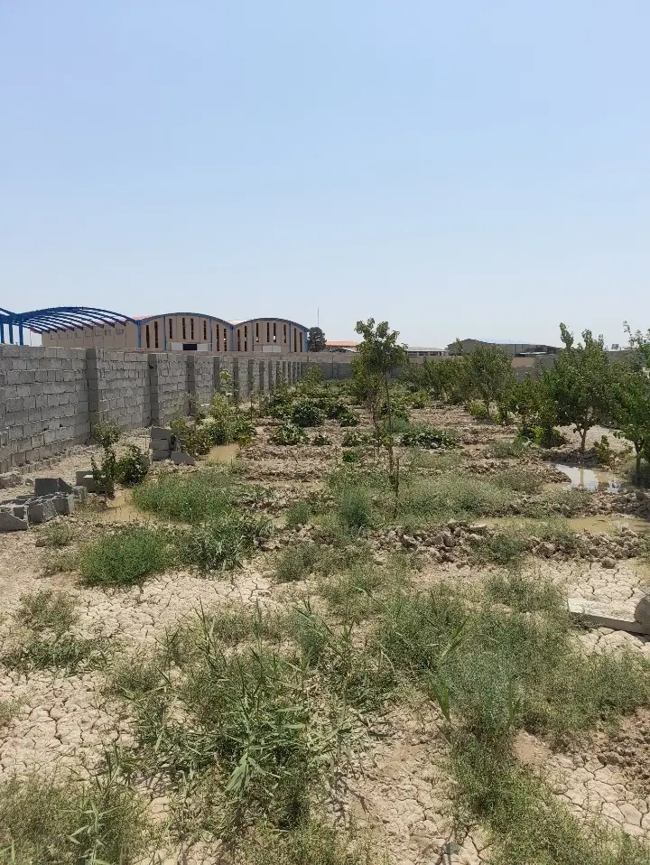 باغچه صفادشت ۱۰۰۰ متری
