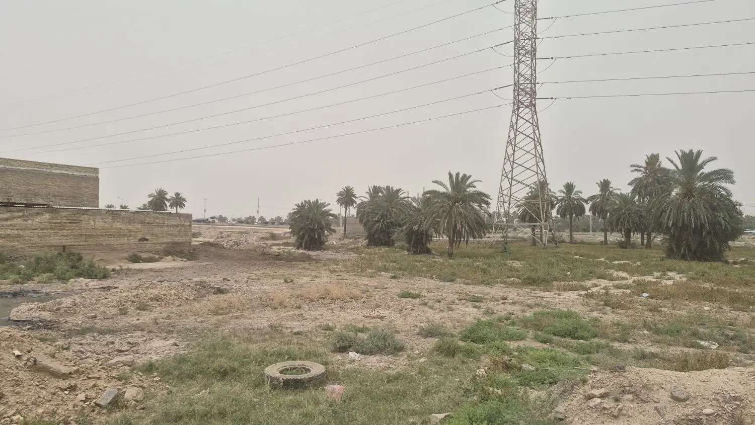 زمین  تجاری  مسکونی کوی نخلستان