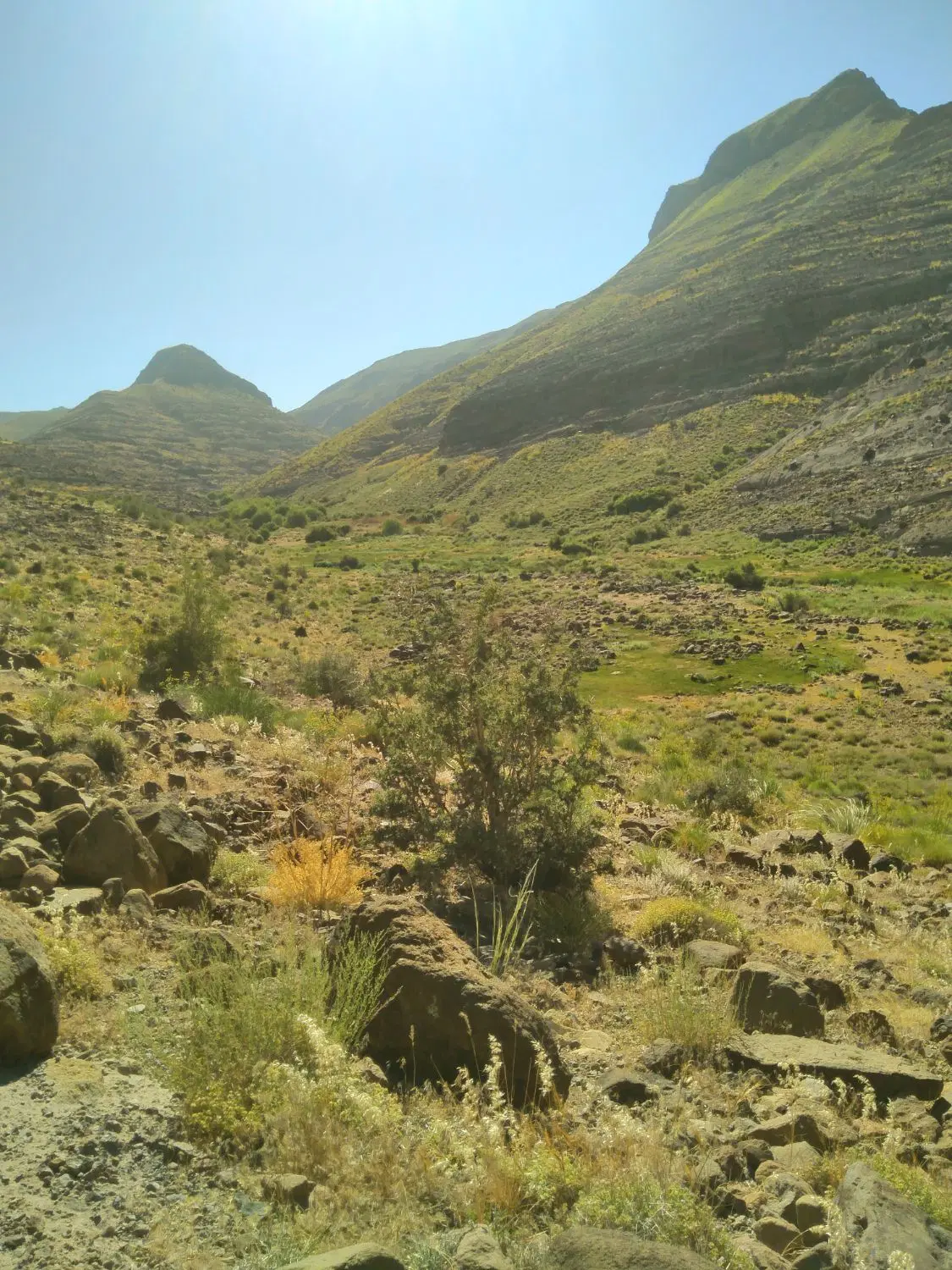 زمین نظام مهندسی