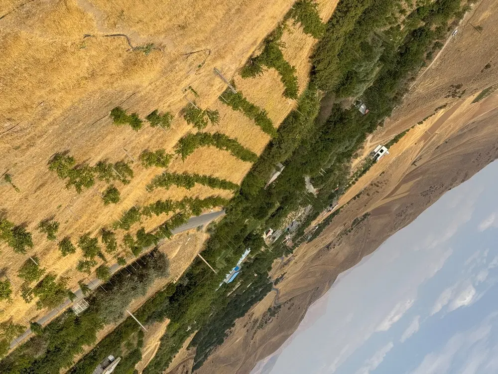 زمین کشاورزی