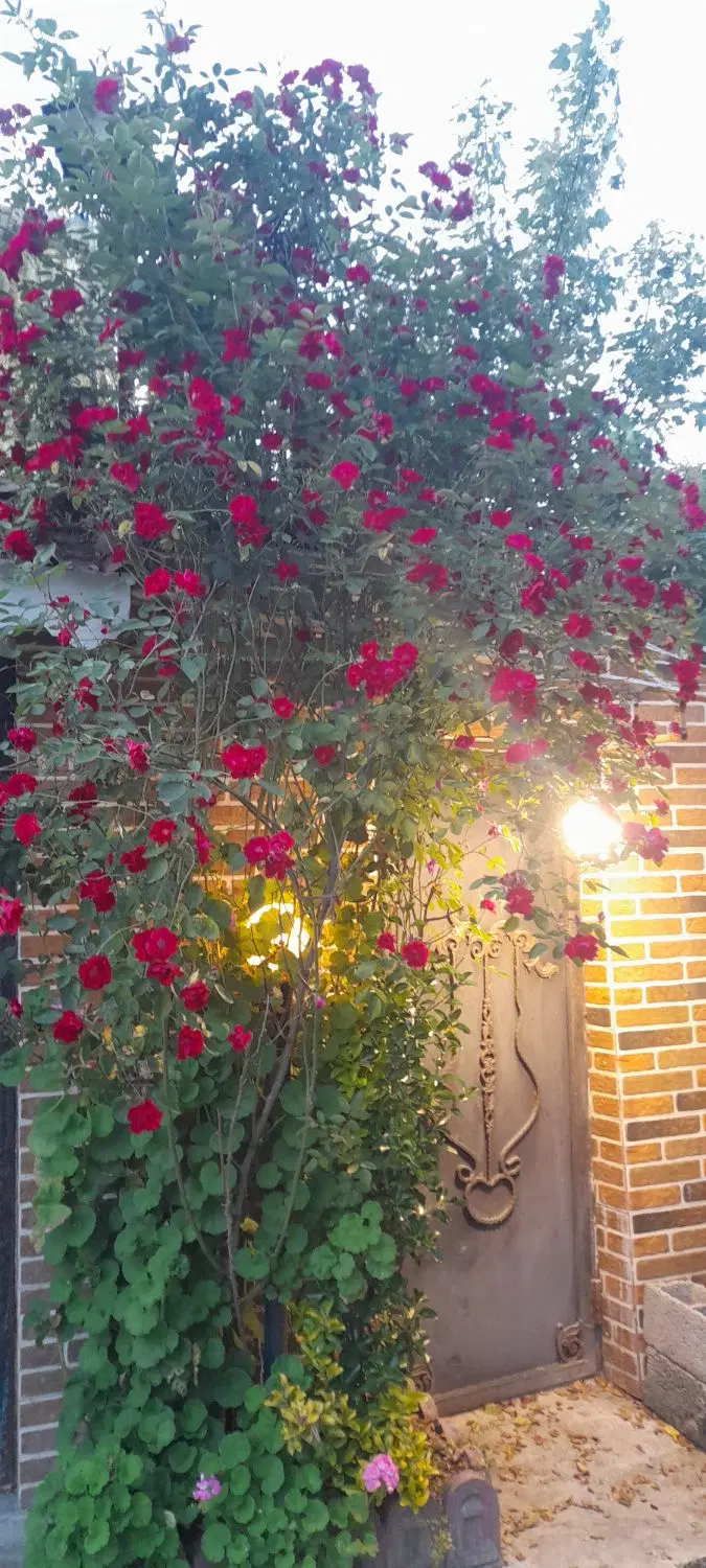 فروش ویلایی