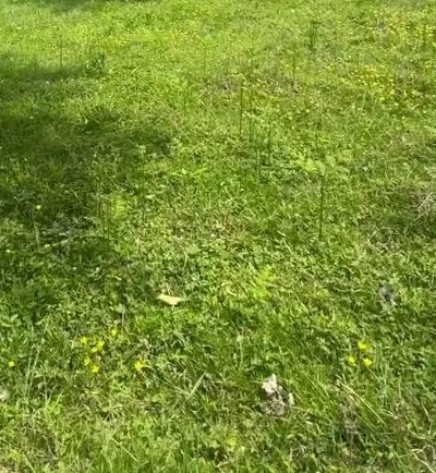 زمین استثنایی