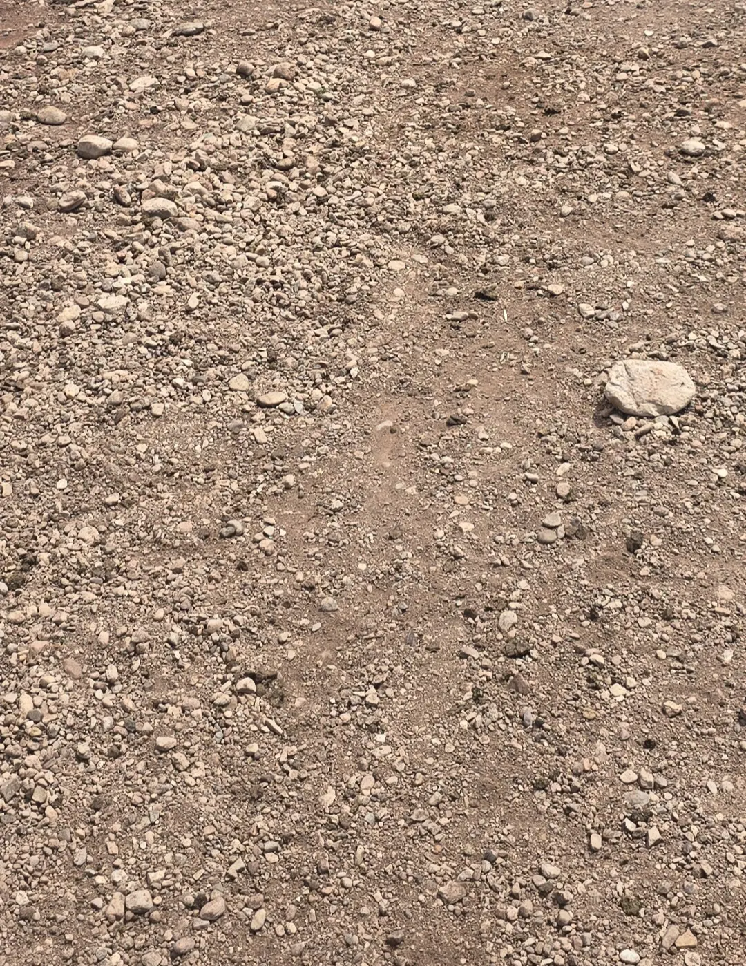 زمین مسکونی