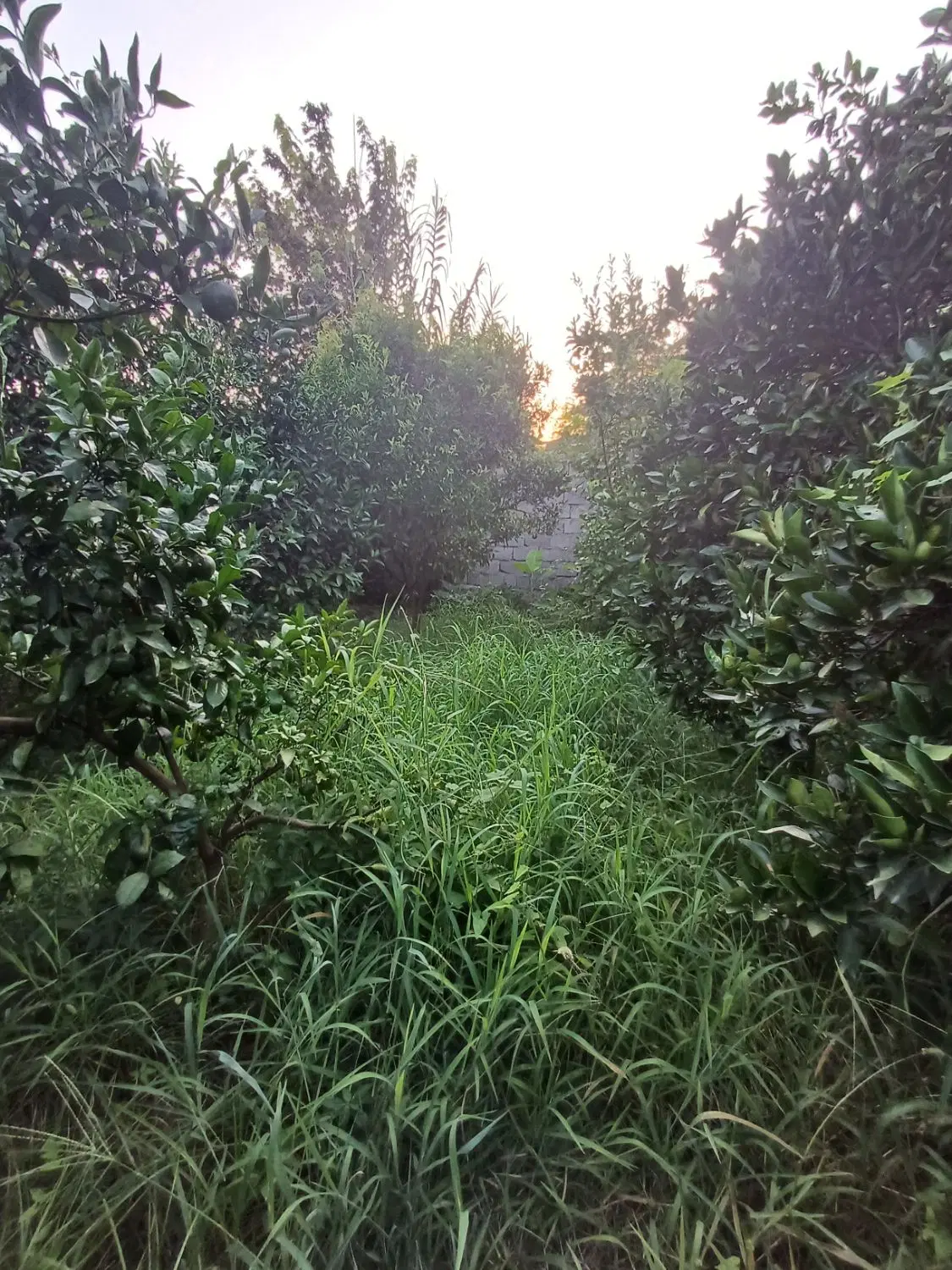 زمین خانه سرا