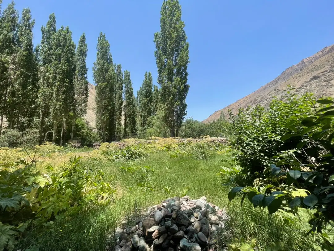 املاک البرز .خرید .فروش .رهن .اجاره