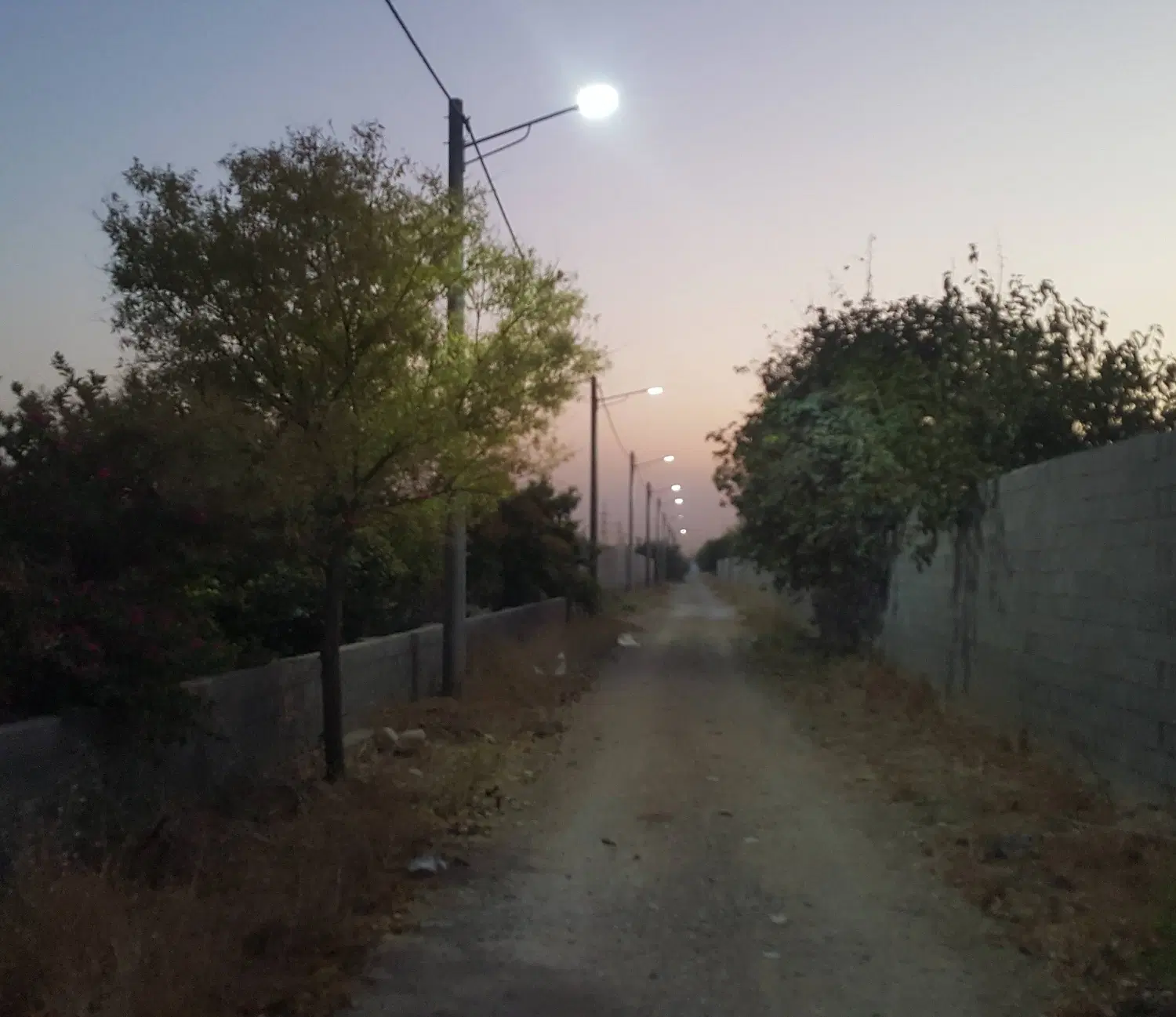 زمین باغی