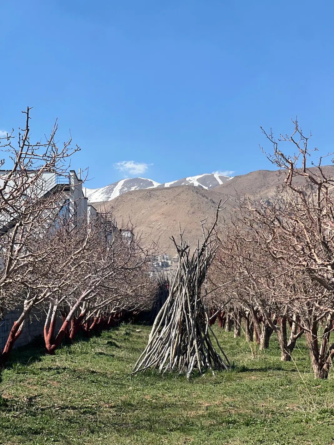 دوقطه۲۶۵و۳۳۵متری باغ باغچه جابان دماوند اقساطی